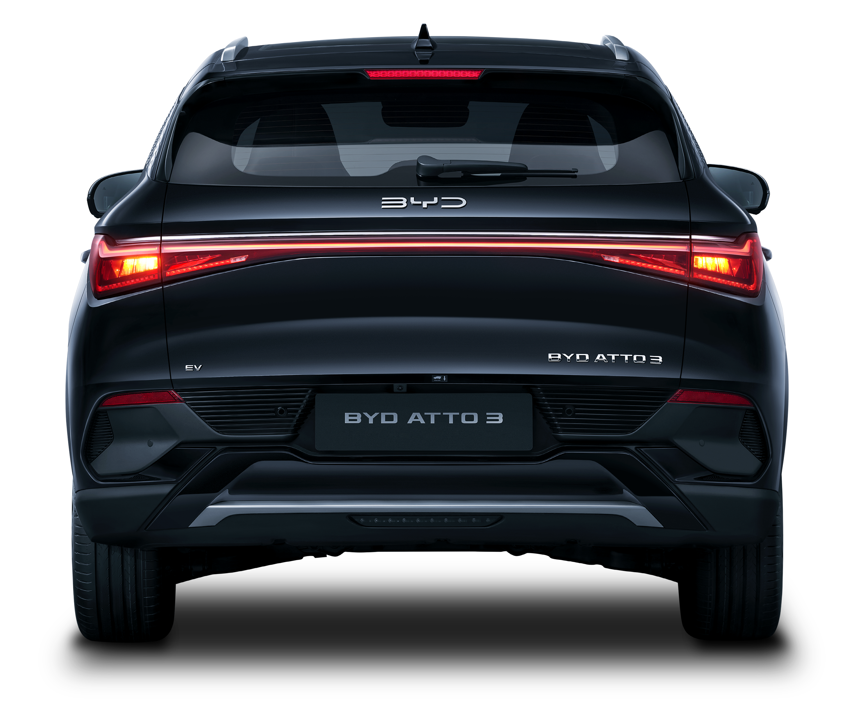 Cosmos Black — rear